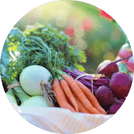 Organic Vegetables | Organic Field House