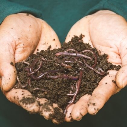 Vermicompost | Organic Field House